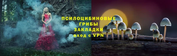 ECSTASY Зеленодольск
