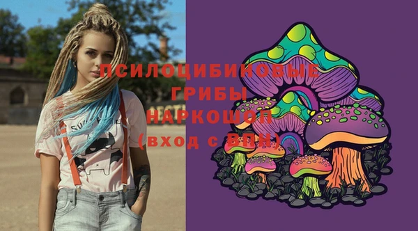 спиды Зеленокумск