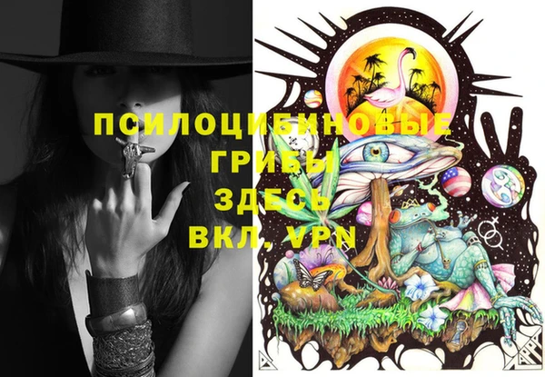ECSTASY Зеленодольск